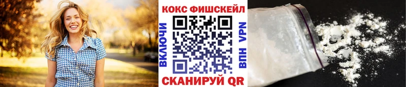 где купить   kraken зеркало  Cocaine Fish Scale  Константиновск 
