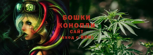 гашик Нязепетровск